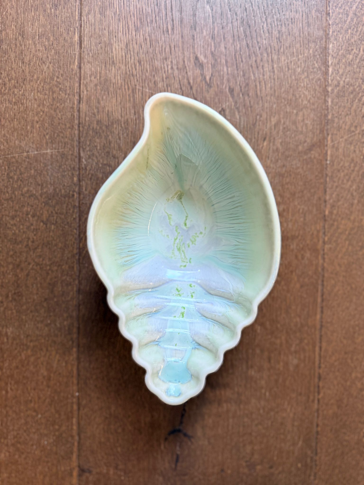 Seashell bowl 17 X 11 CM H3